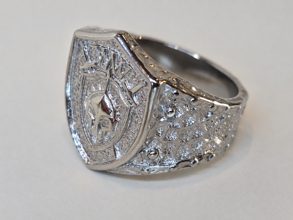 Stainless Steel Polished Ring