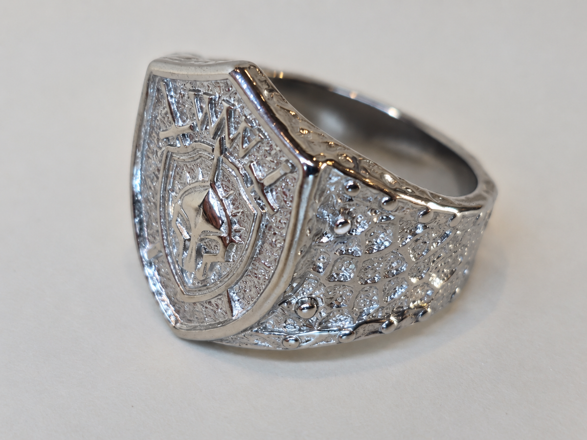 Stainless Steel Polished Ring